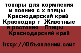 товары для кормления и поения с/х птицы - Краснодарский край, Краснодар г. Животные и растения » Птицы   . Краснодарский край